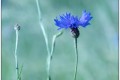 img_9854 01